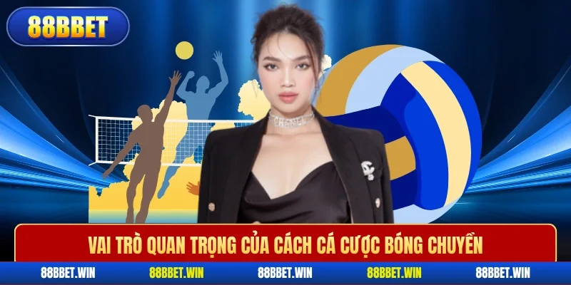 Vai trò quan trọng của cách cá cược bóng chuyền