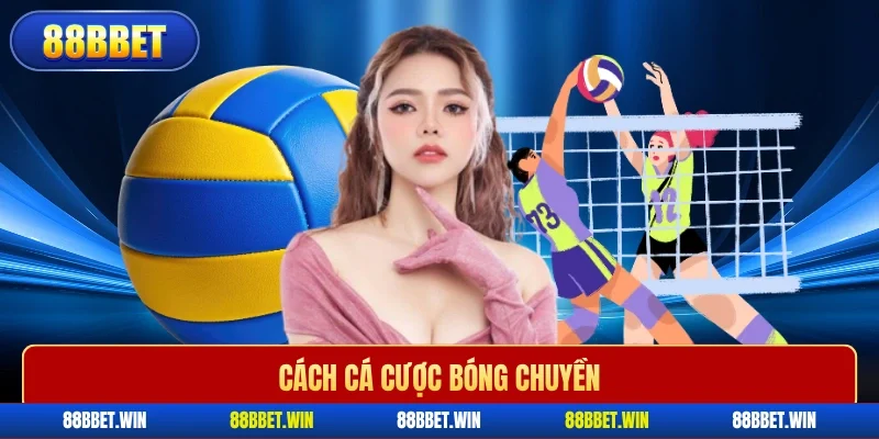 Cách cá cược bóng chuyền
