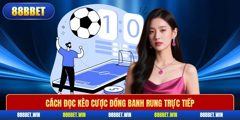 Cách đọc kèo cược đồng banh rung trực tiếp