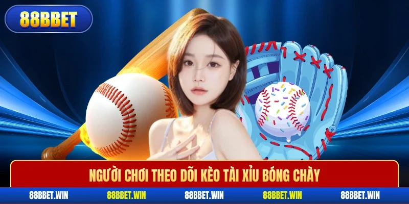 Người chơi theo dõi kèo tài xỉu bóng chày