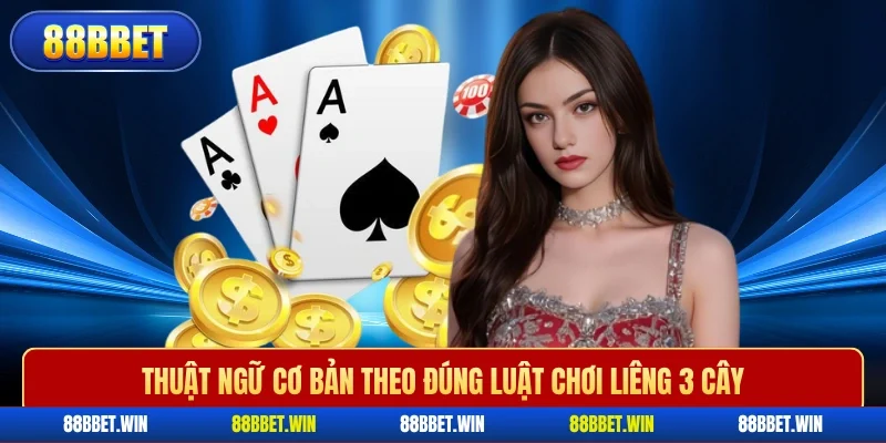Thuật ngữ cơ bản theo đúng luật chơi liêng 3 cây